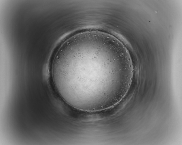 X0000099930628200805231231