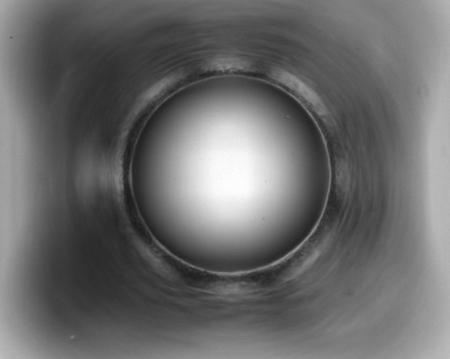 X0000099930629200805231231