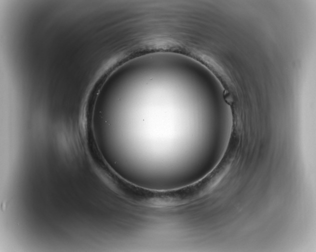 X0000099930630200805231231