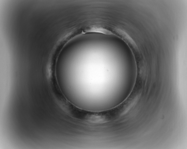 X0000099930635200805231231