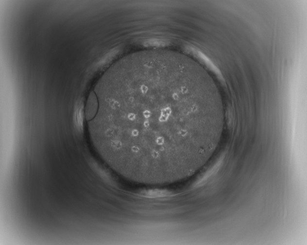 X0000099930637200805231231