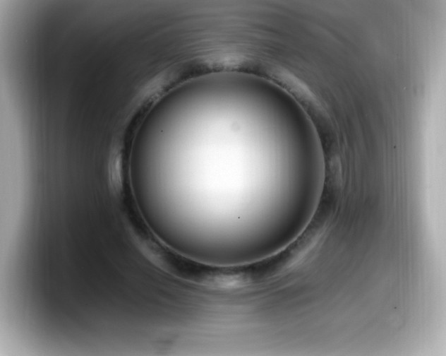 X0000099930638200805231231