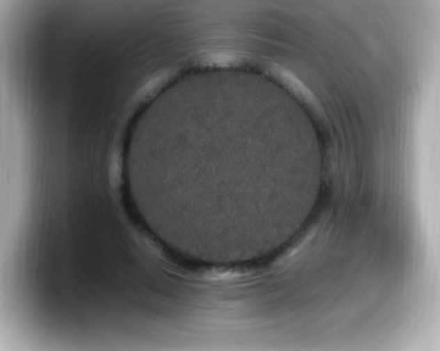 X0000099930640200805231231