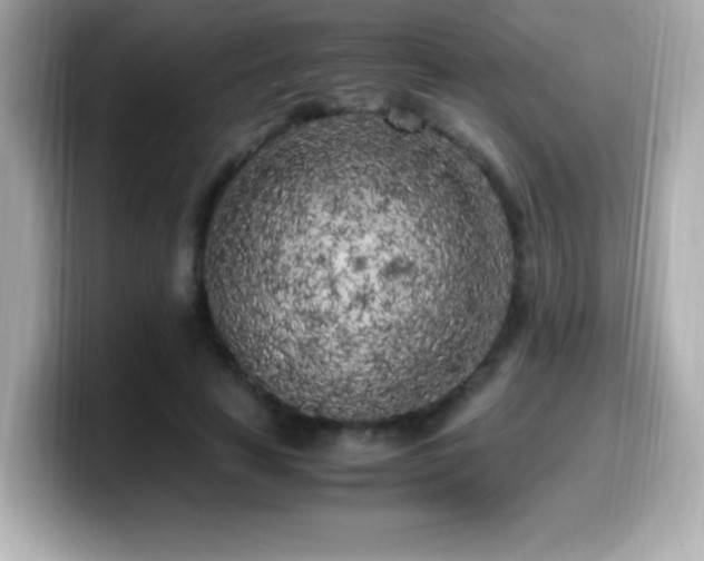 X0000099930641200805231231