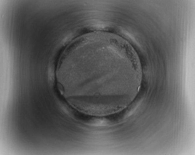 X0000099930642200805231231