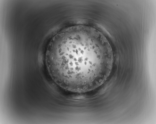 X0000099930643200805231231