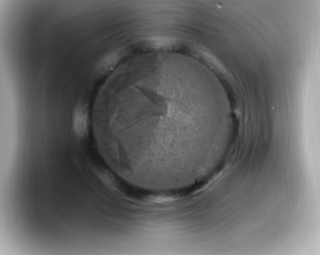 X0000099930644200805231231