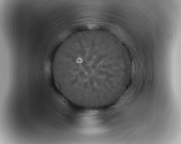 X0000099930650200805231231