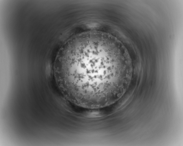 X0000099930651200805231231