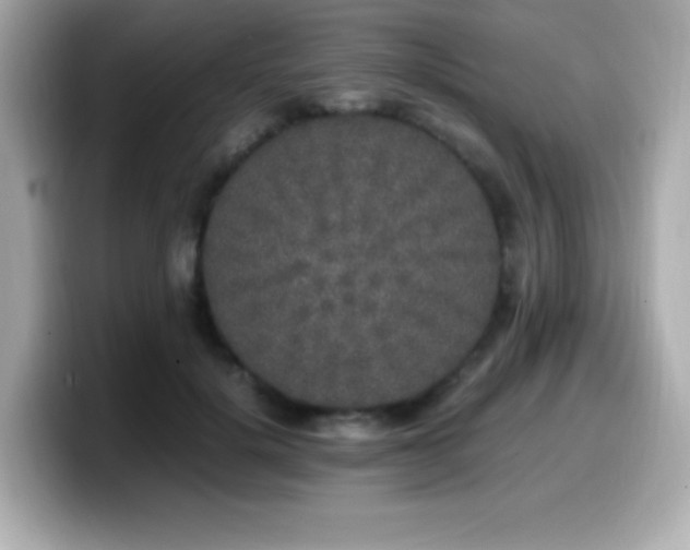 X0000099930652200805231231