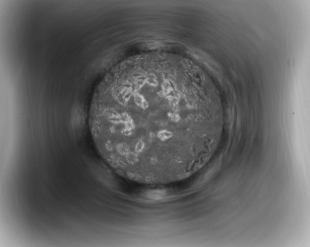 X0000099930653200805231231