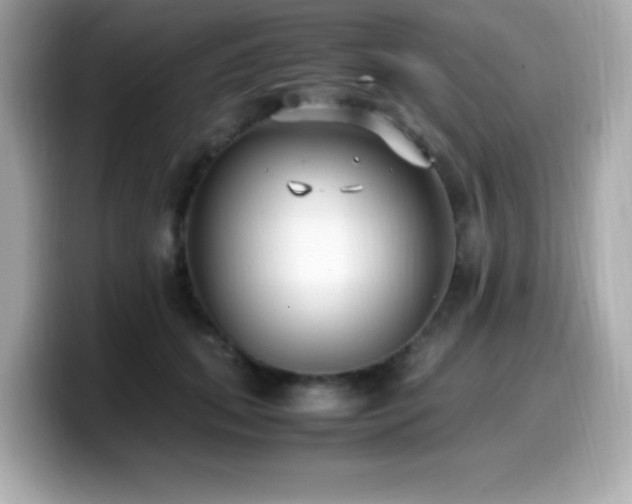 X0000099930655200805231231