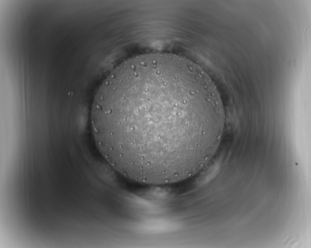 X0000099930656200805231231