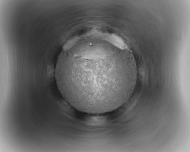 X0000099930657200805231231