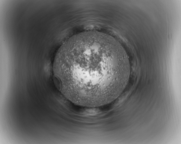 X0000099930659200805231231