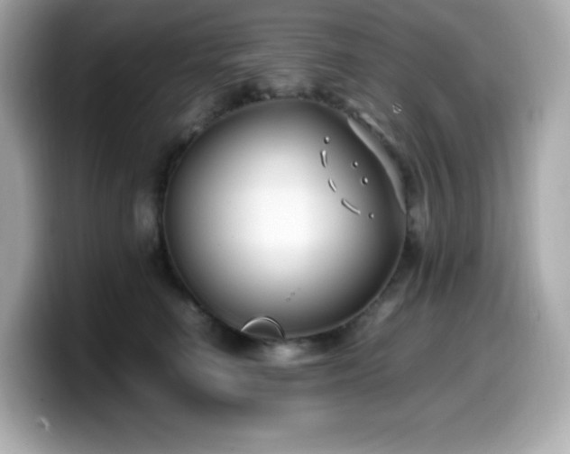 X0000099930662200805231231