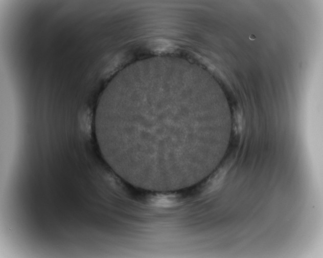 X0000099930664200805231231