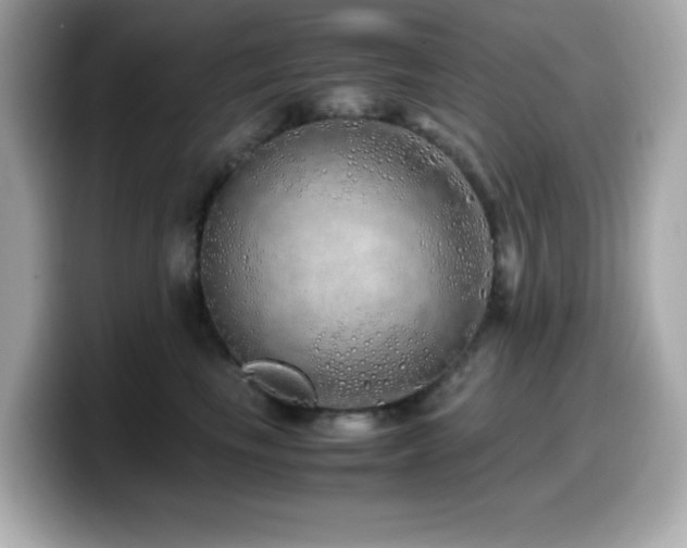 X0000099930665200805231231