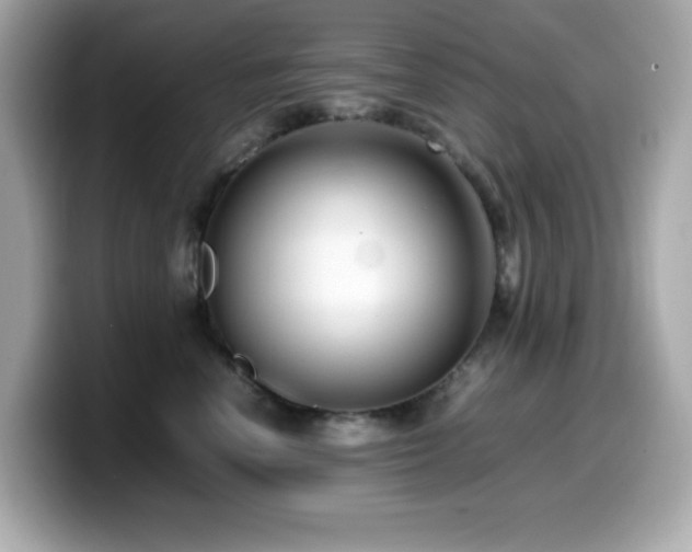 X0000099930666200805231231