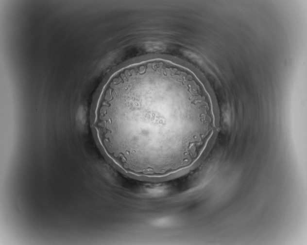 X0000099930667200805231231