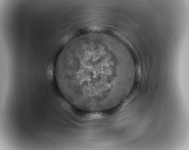 X0000099930668200805231232