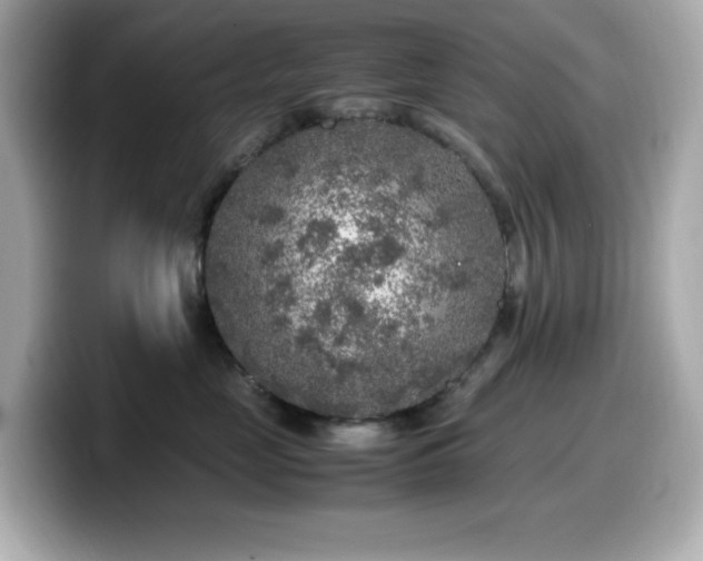 X0000099930669200805231232