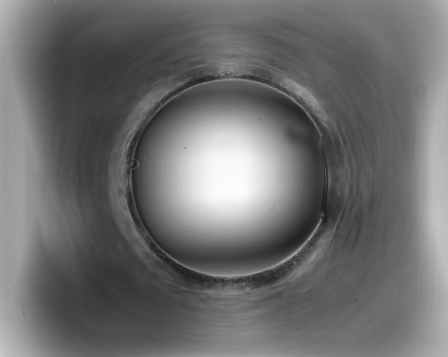 X0000099930673200805231231