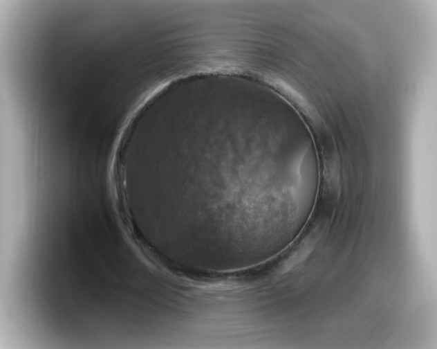 X0000099930674200805231231