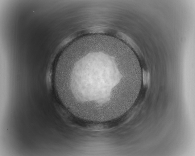 X0000099930675200805231231