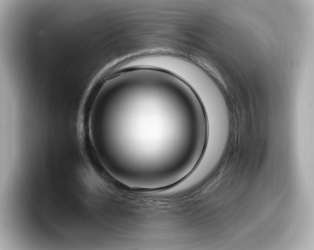 X0000099930676200805231231