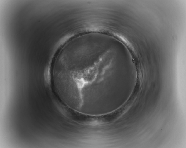 X0000099930678200805231231