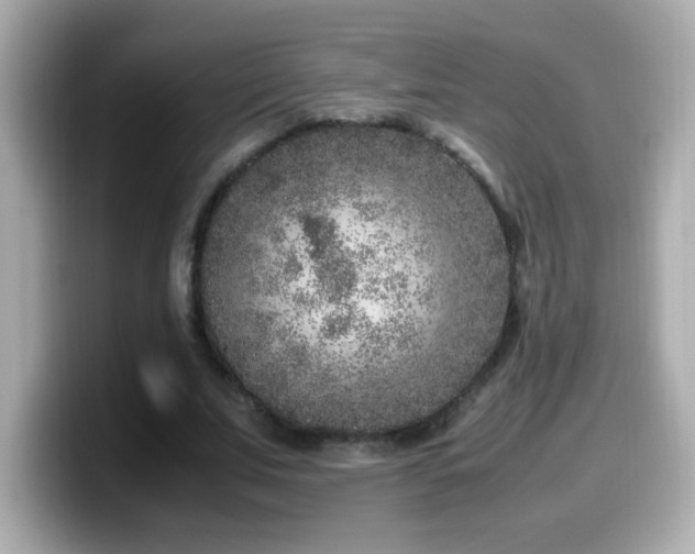 X0000099930679200805231231