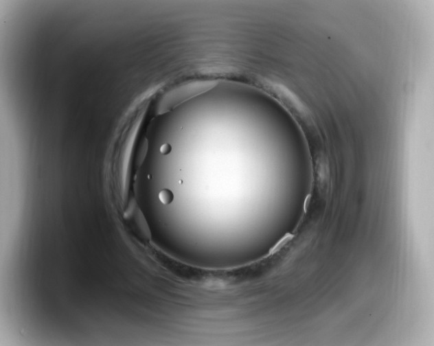 X0000099930684200805231231