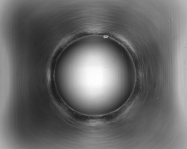 X0000099930686200805231231