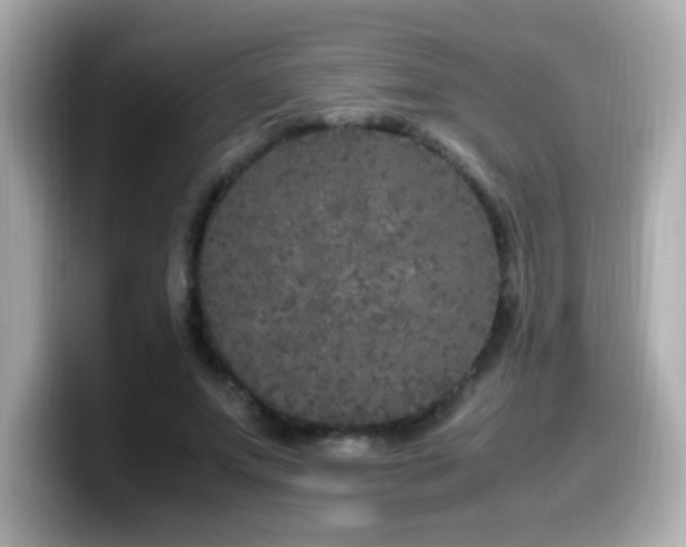 X0000099930687200805231231