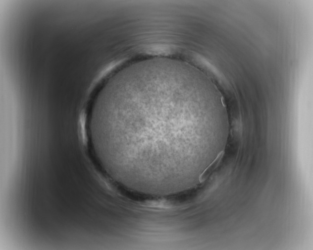 X0000099930688200805231231