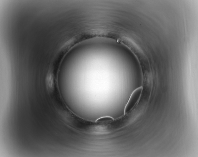 X0000099930692200805231231