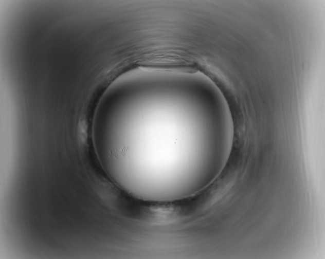 X0000099930693200805231231