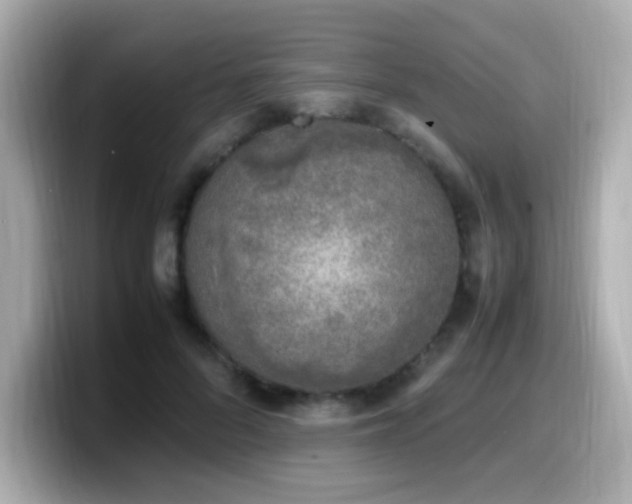 X0000099930696200805231231