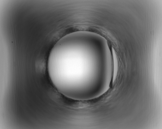 X0000099930697200805231231