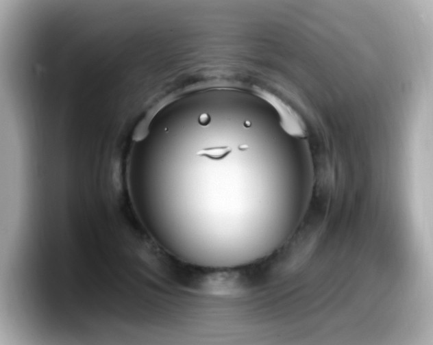 X0000099930700200805231230