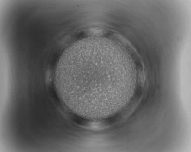 X0000099930701200805231230