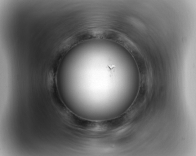 X0000099930702200805231230