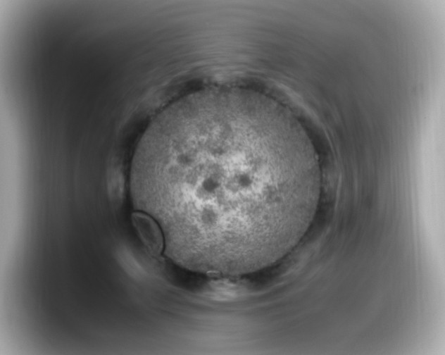 X0000099930703200805231230