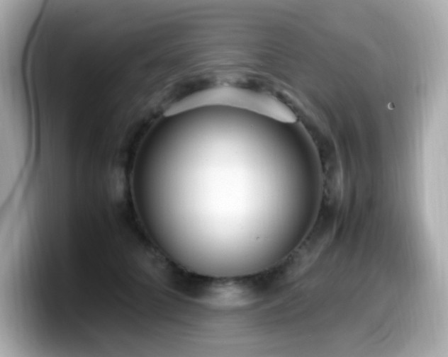 X0000099930704200805231230
