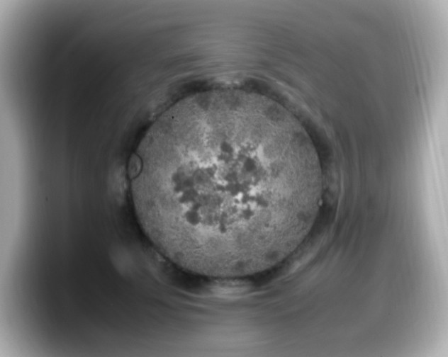 X0000099930707200805231230