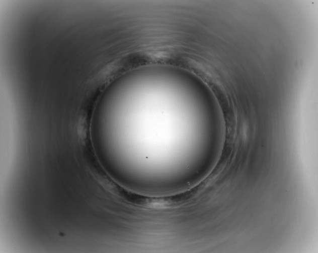 X0000099930710200805231230