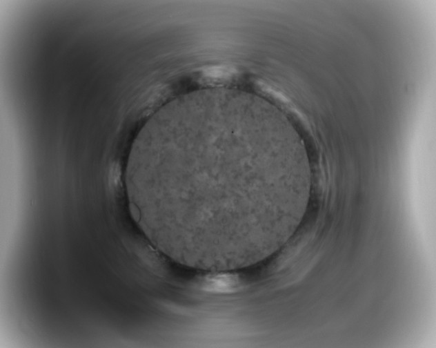 X0000099930711200805231230