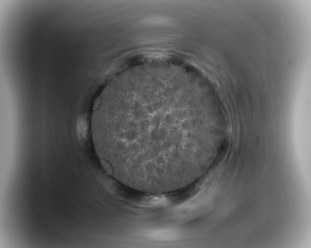 X0000099930715200805231230