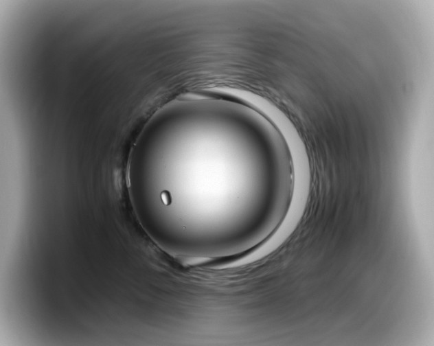X0000099930716200805231230